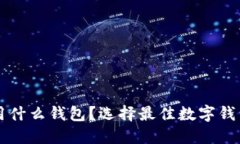 虚拟币充值用什么钱包？选择最佳数字钱包的全
