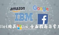 使用TPWallet购买Kishu：全面指南与常见问题解答