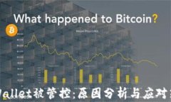 TPWallet被管控：原因分析与应对策略