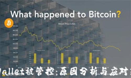 
TPWallet被管控：原因分析与应对策略