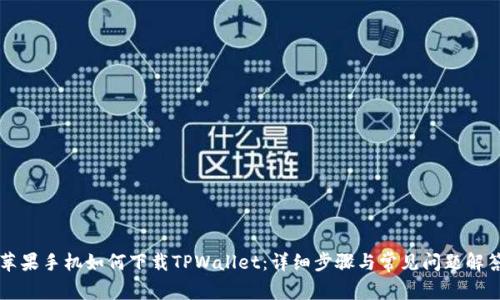 苹果手机如何下载TPWallet：详细步骤与常见问题解答