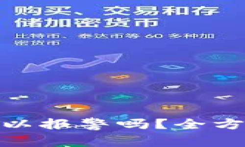 tpwallet被盗了可以报警吗？全方位解读与应对措施