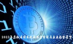 2023年虚拟币项目现状深度分析与未来