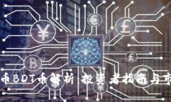 虚拟货币BDT币解析：投资者指南与市场