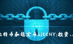 深入探索比特币和稳定币bitCNY：投资、