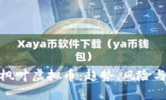 全面解析枫叶虚拟币：趋势、风险与投