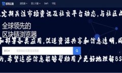   BSN虚拟币价格走势与市场分析 /  gu