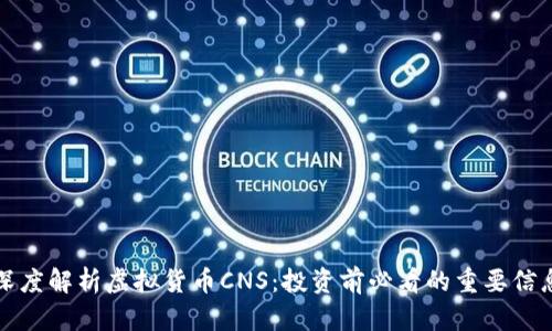 深度解析虚拟货币CNS：投资前必看的重要信息
