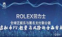 虚拟币PV：投资与风险的全面分析
