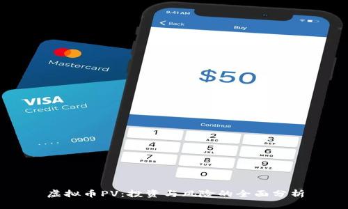 虚拟币PV：投资与风险的全面分析