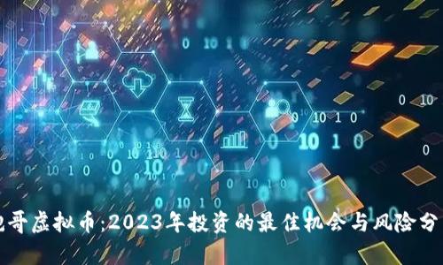 鲍哥虚拟币：2023年投资的最佳机会与风险分析