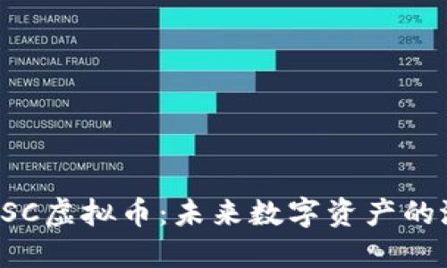 深入了解BSC虚拟币：未来数字资产的潜力与风险