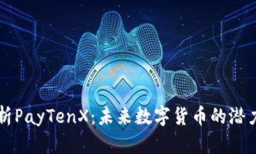 深入解析PayTenX：未来数字货币的潜力与应用