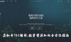 虚拟币TEC解析：投资前须知的全方位指